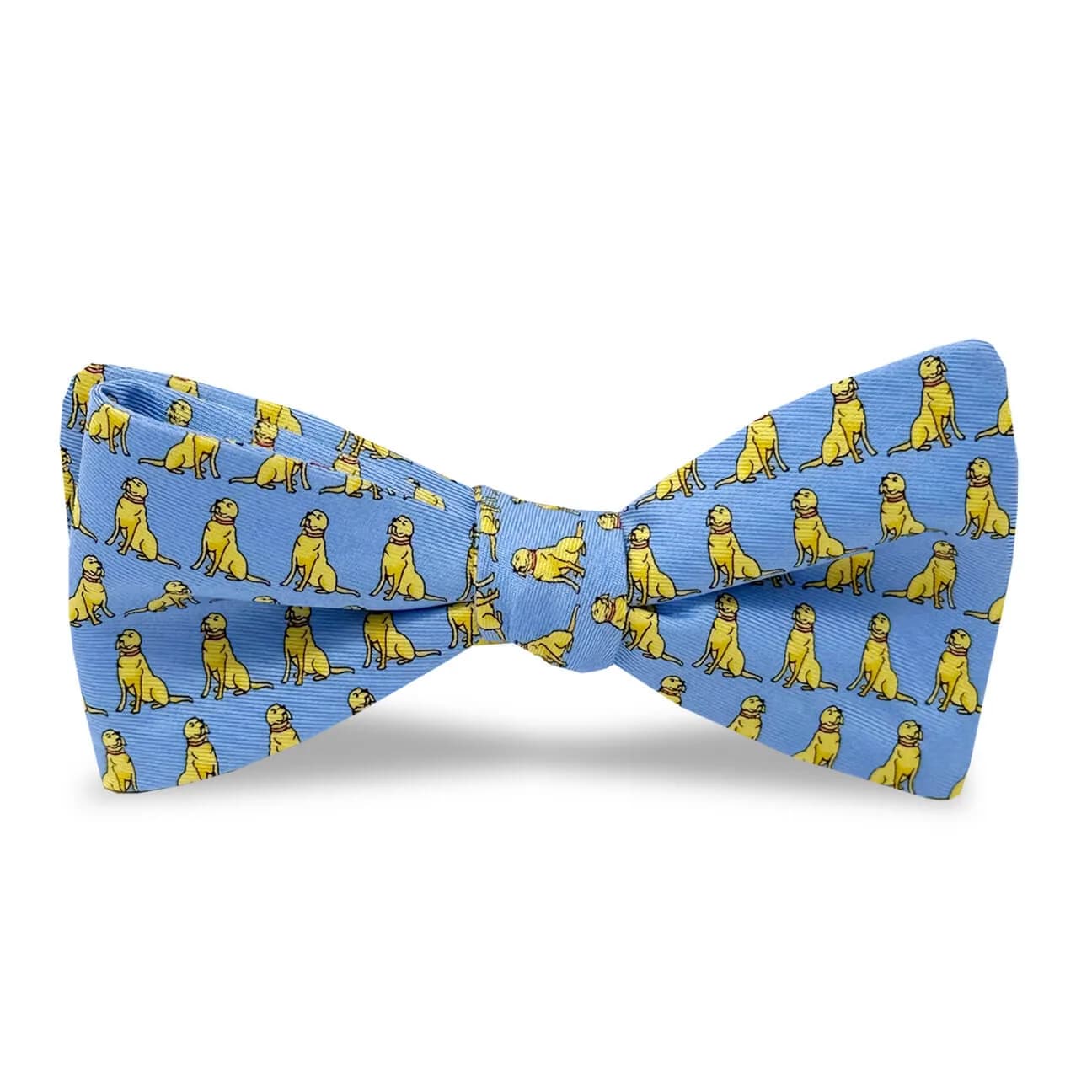 Sit, Stay: Bow - Blue/Yellow