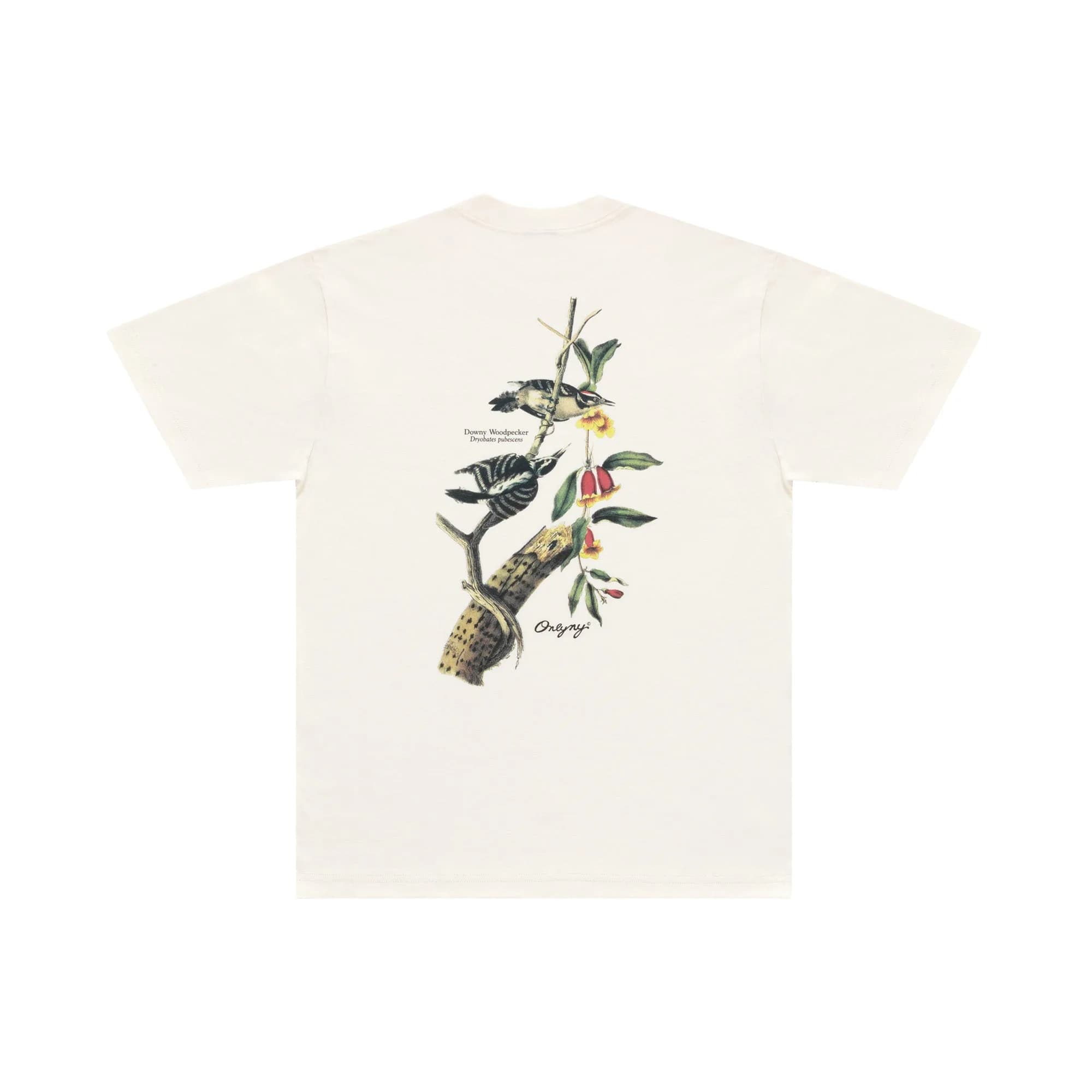 Woodpecker T-Shirt