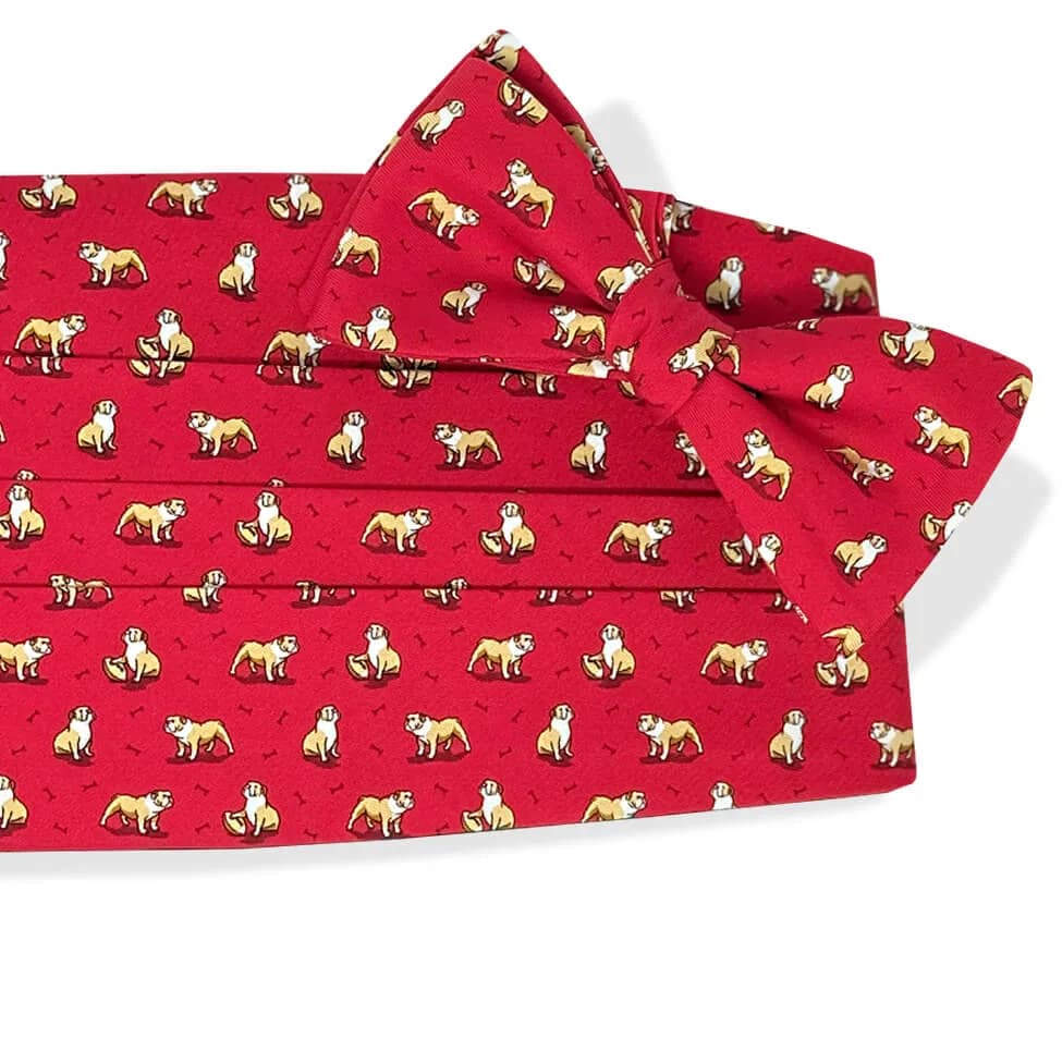 Bulldog Bonanza: Cummerbund Set - Red
