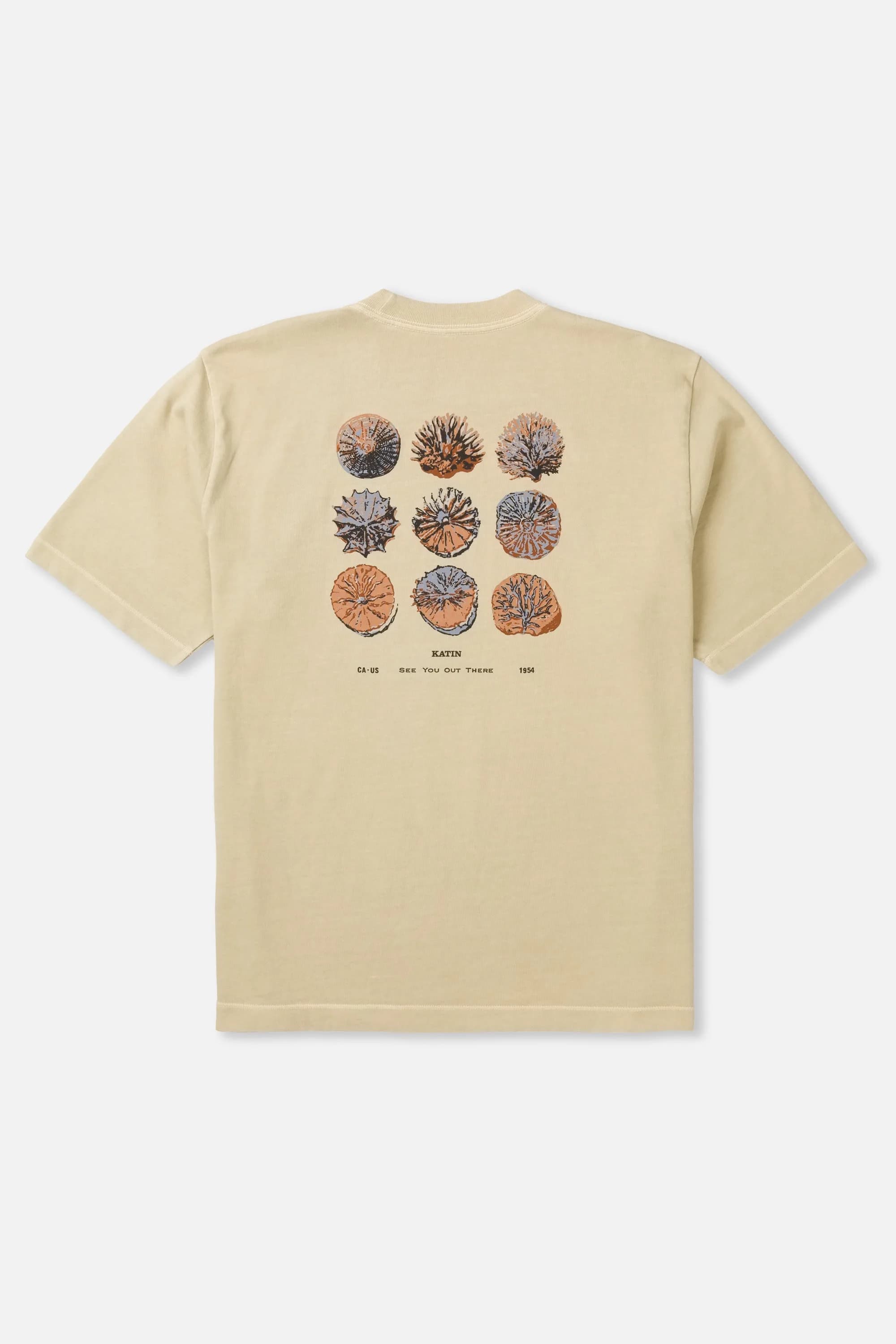 Specimen Box Fit Tee