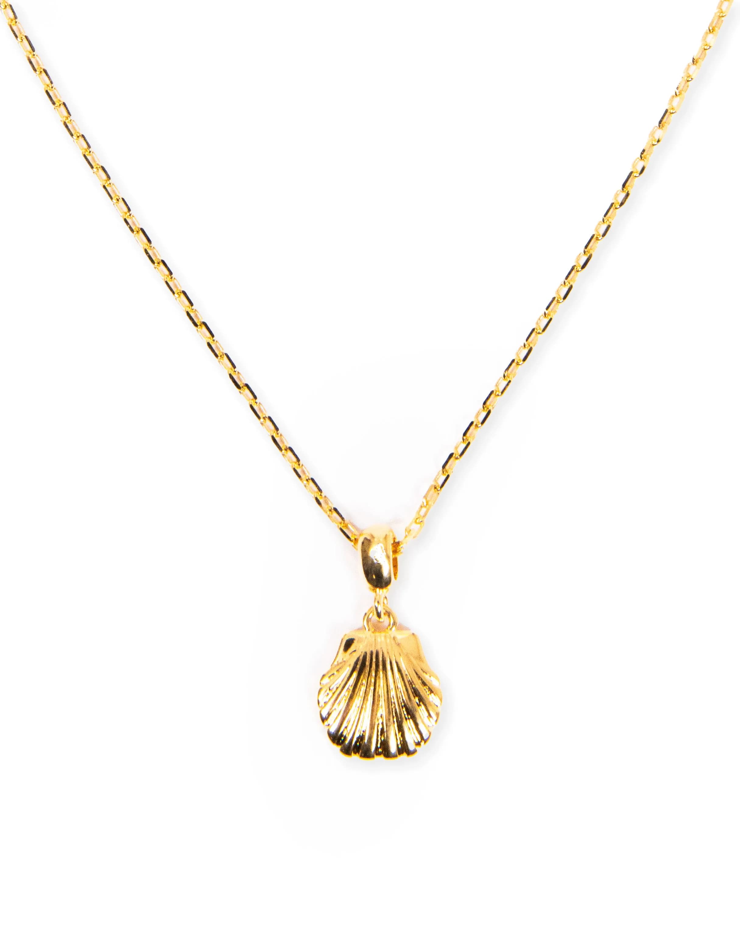 Seashell Charm Necklace